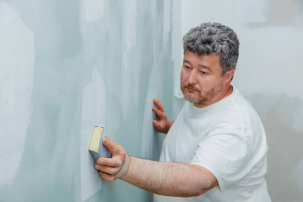 Best Biohazard Mold Removal  in Marlboro Village, MD