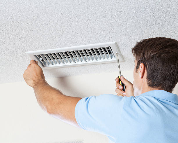Best Mold-Related Health Consultation  in Marlboro Village, MD