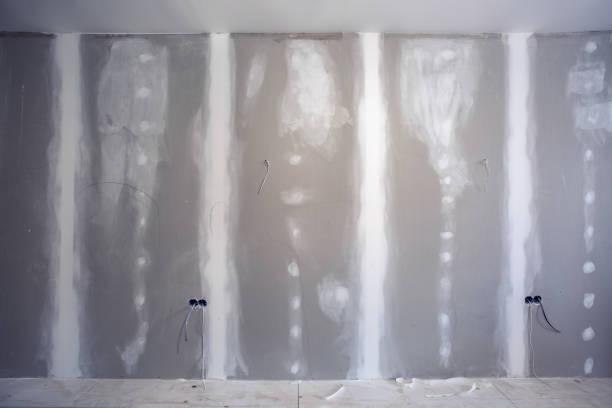 Best Airborne Mold Testing  in Marlboro Village, MD
